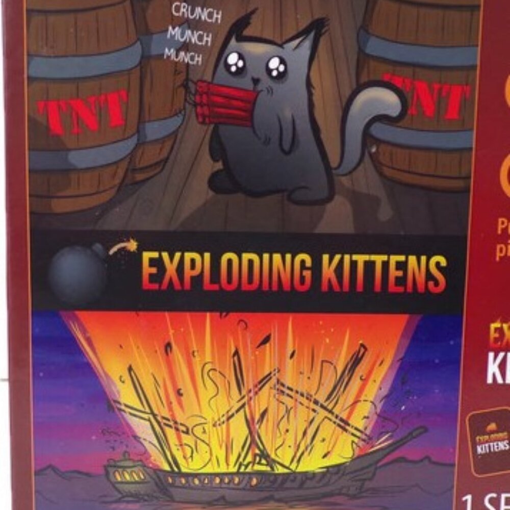 Exploding Kittens 300 Puzzle Pieces New in Sealed Box